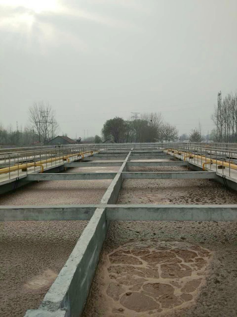 1533883261163520.jpg 1.jpg